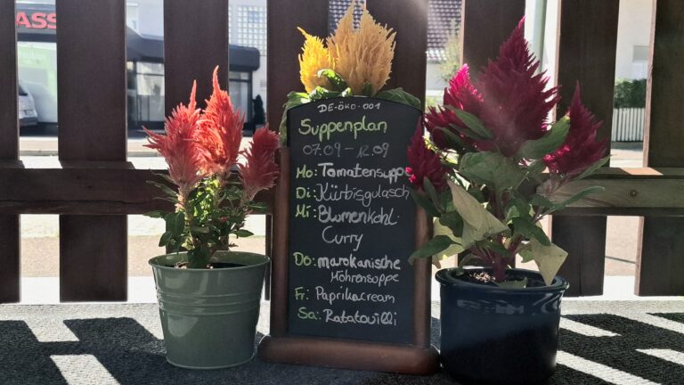 Suppenplan-KW37Bio-Naturhaus-Nördlingen-Augsburgerstrasse17