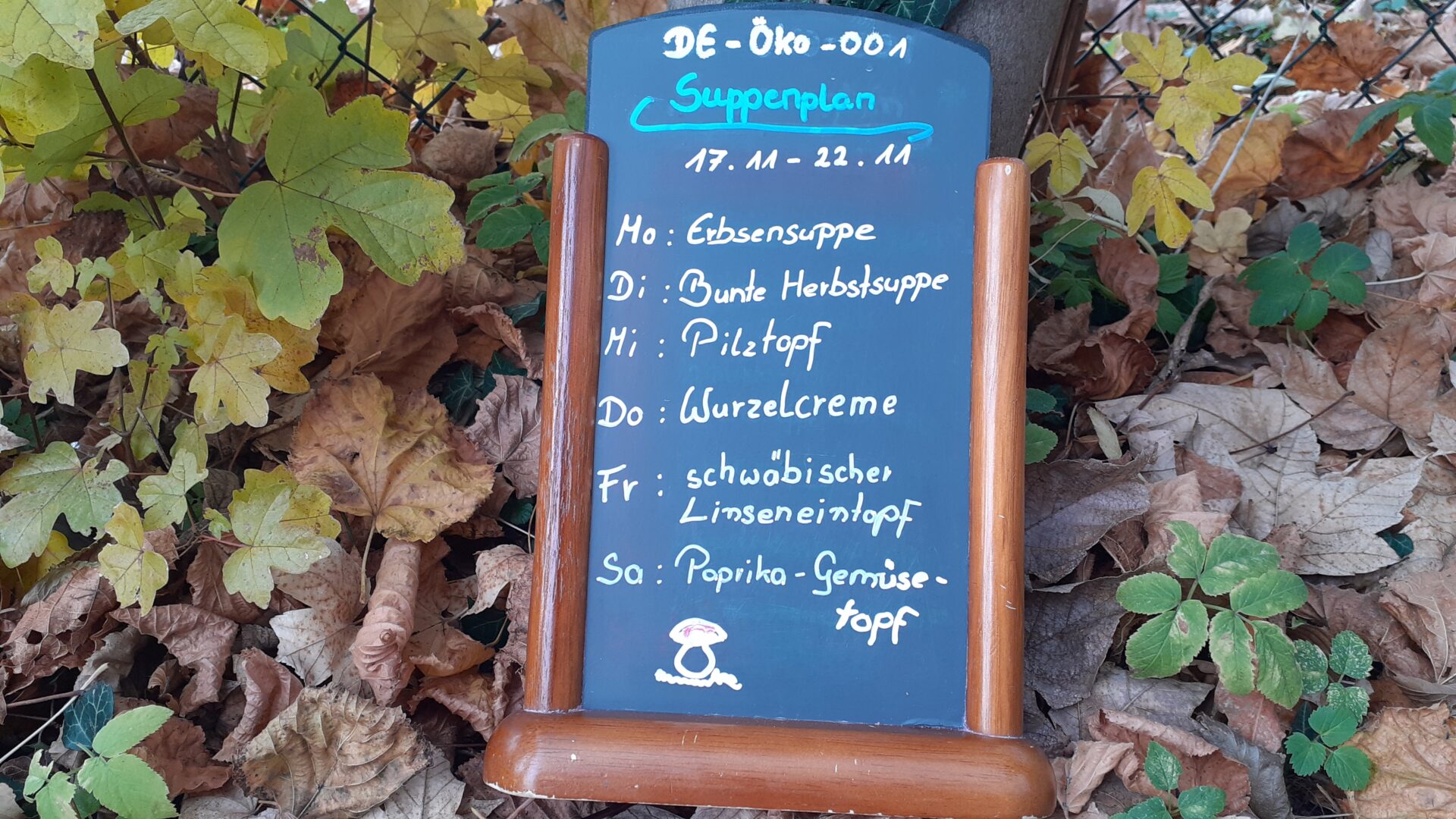 Suppenplan-KW47-Bio-Naturhaus-Nördlingen
